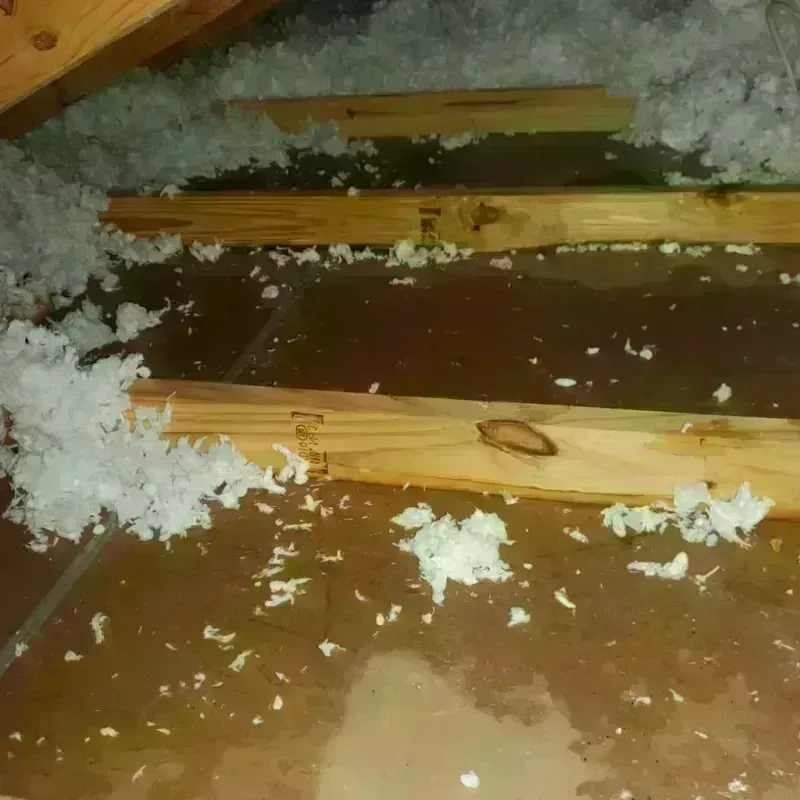 Attic Water Damage in Shenandoah, PA