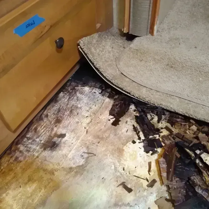 Wood Floor Water Damage in Shenandoah, PA